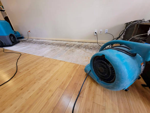 Professional Flood Damage Cleanup technician working in Temple, PA